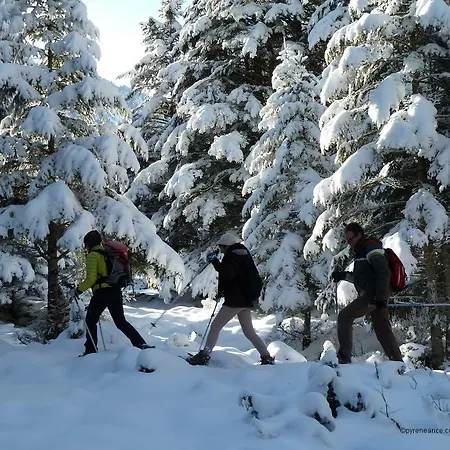 酒店 Saint Vincent